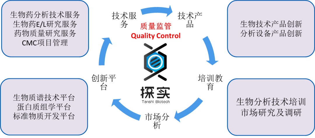 分析技术服务产业链.png